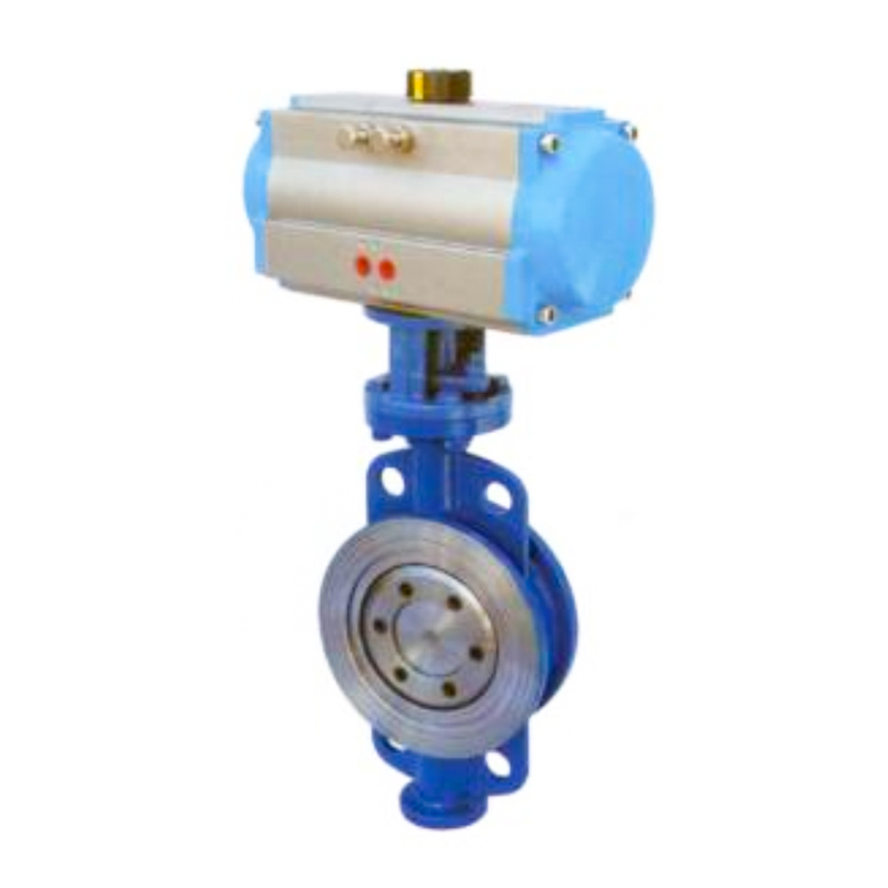 D671H Pneumatic Fibulae Type durum sigillum Papfly valvae