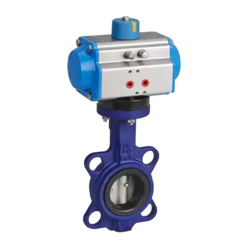 D671X Pneumatic Fibulae PAPFLE CYMBALON