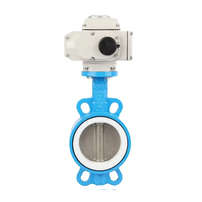 D971X Electric Fibulae PAPILLUS CYMBALON